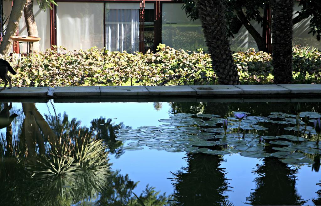 Hotel Emblemático Casa Casilda Tacoronte Esterno foto